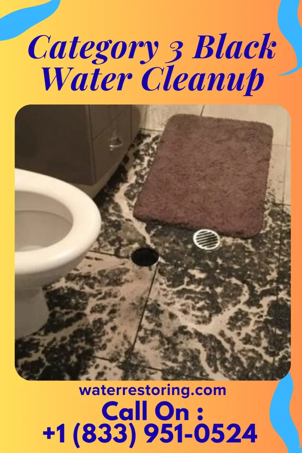 Category 3 Black Water Cleanup in Greenevers, NC