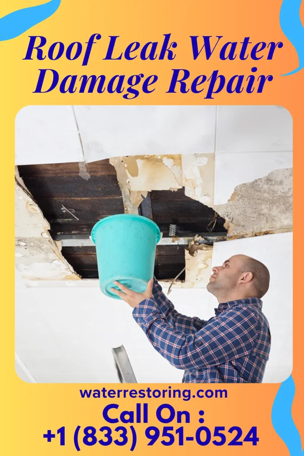 Roof Leak Water Damage Repair in Greenevers, NC